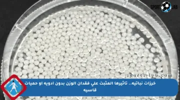 خرزات نباتية.. تأثيرها المثبت على فقدان الوزن بدون أدوية أو حميات قاسية